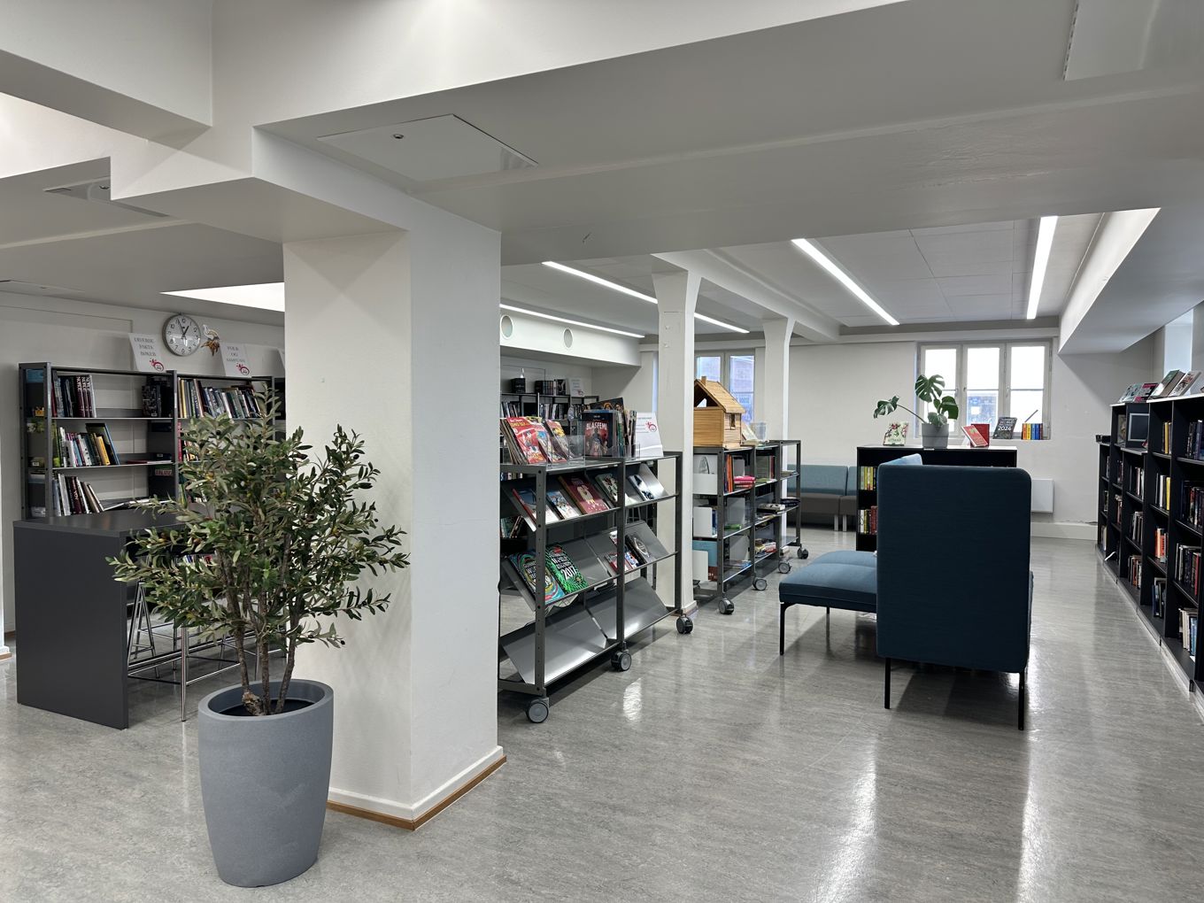 et rom med hyller og en plante