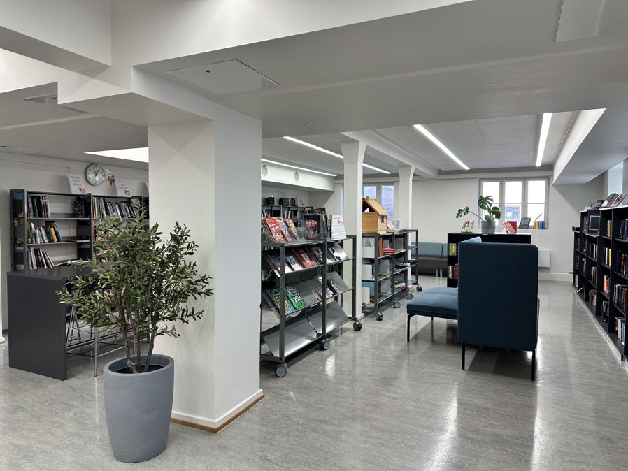 et rom med hyller og en plante