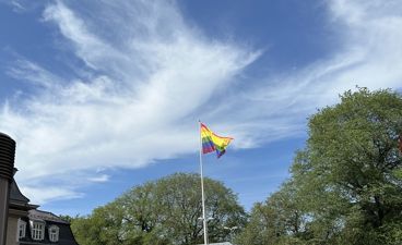 en drage som flyr over en park