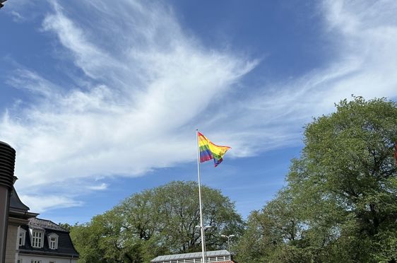 en drage som flyr over en park