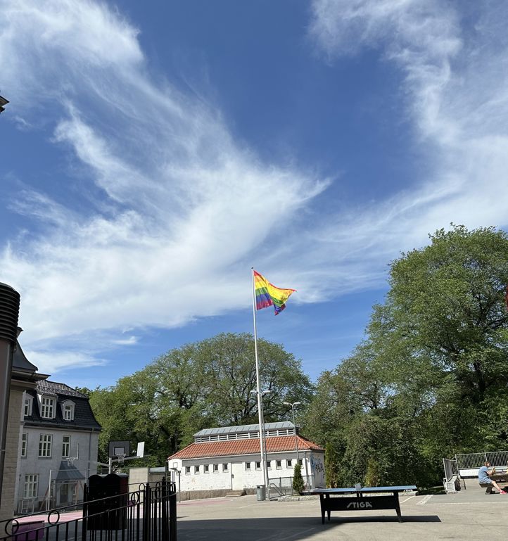 en drage som flyr over en park